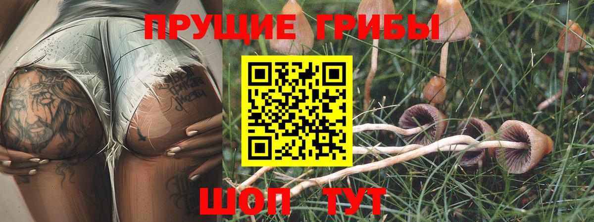 Галлюциногенные грибы ЛСД Рузаевка